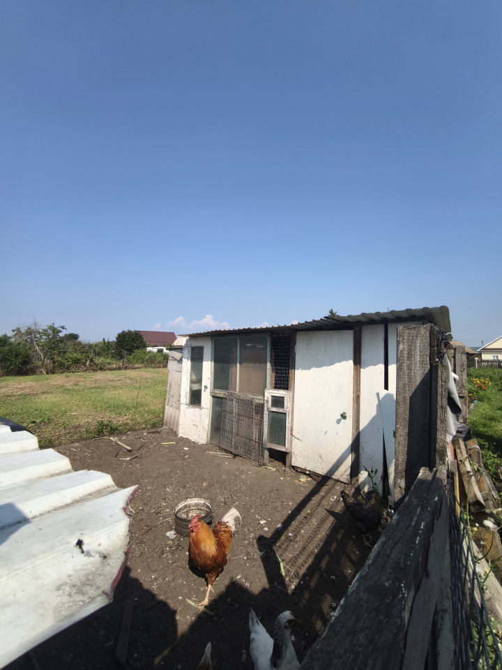 Продается дом, 54 м2, 7 соток за 3 100 тыс. руб.